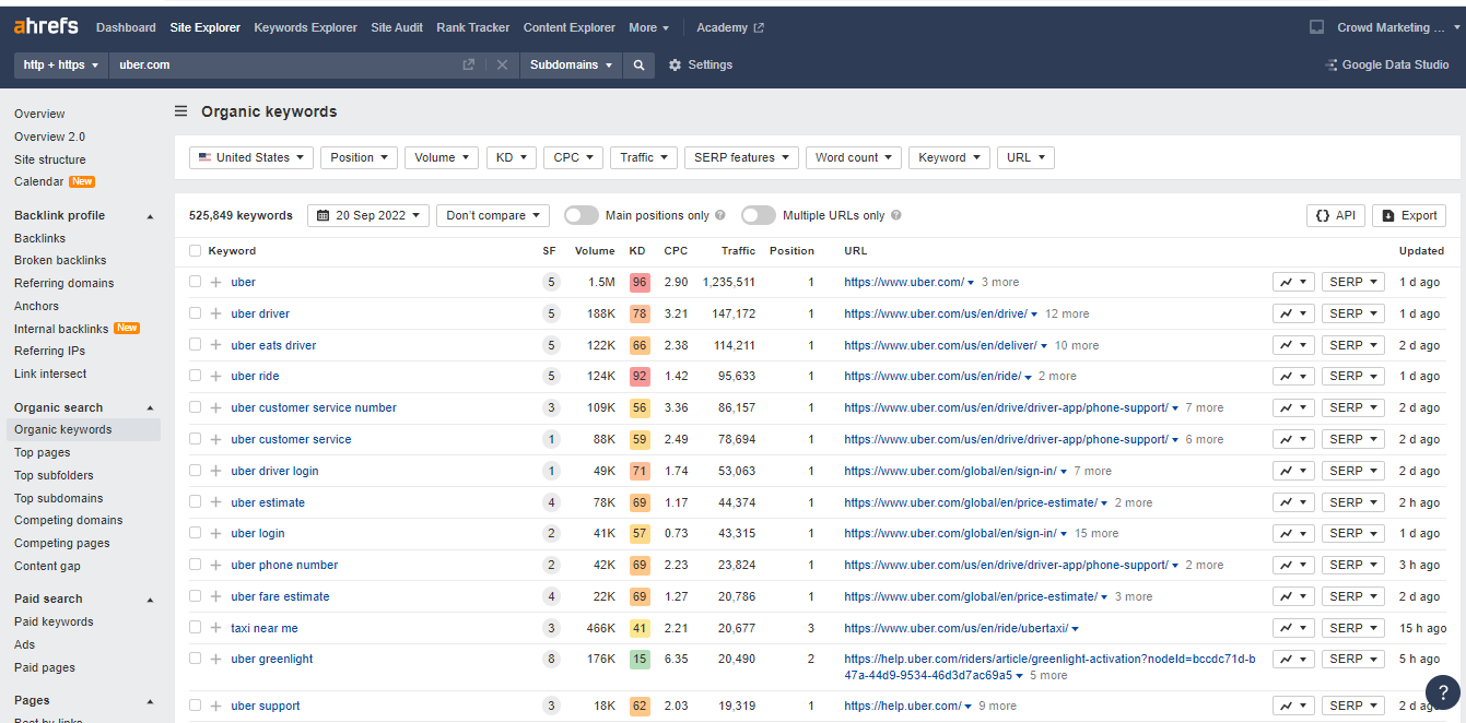 Overview organic keywords from Ahrefs