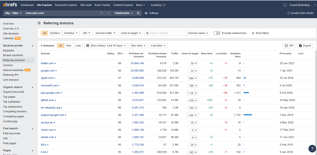 Referring domain overview from Ahrefs