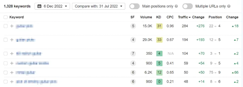 Complete SEO Package